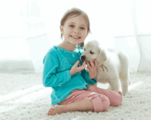 Hypoallergenic Carpet Cleaning, Baby Crawling on Carpet