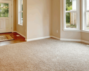 Modern home with clean carpet