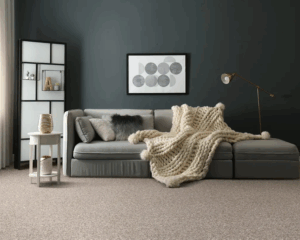 Modern home with clean carpet